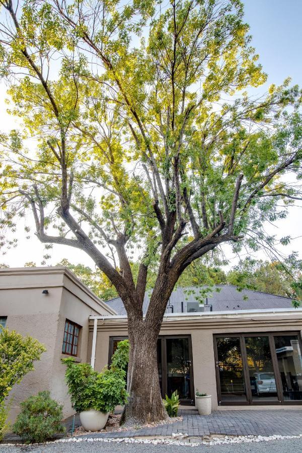 The Nightingale Guesthouse Bloemfontein Eksteriør billede